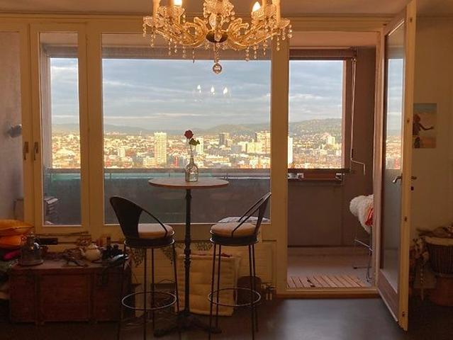 Apartment mieten in Einigen, Zürich