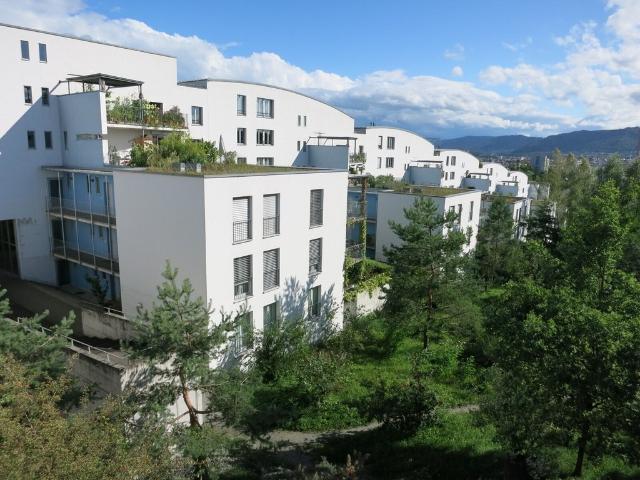 Apartment mieten in Einigen, Zürich