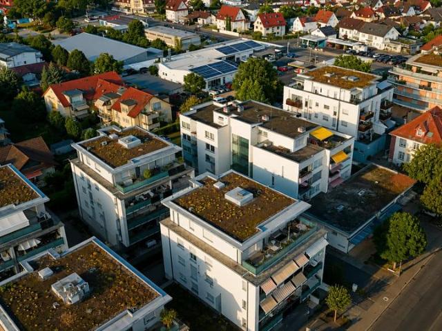 Wohnung kaufen in Bad Krozingen, Baden-Württemberg