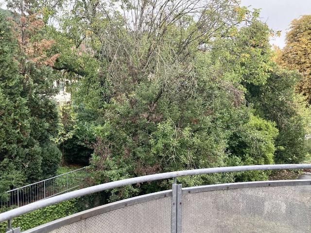 Wohnung kaufen in Weststadt, Baden-Baden