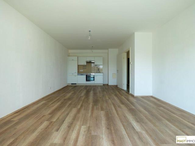 Apartment mieten in Katastralgemeinde Korneuburg, Korneuburg