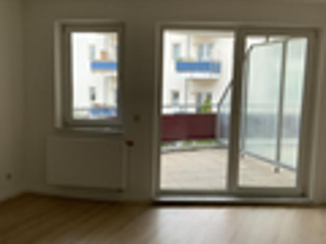 Apartment mieten in Werder, Magdeburg