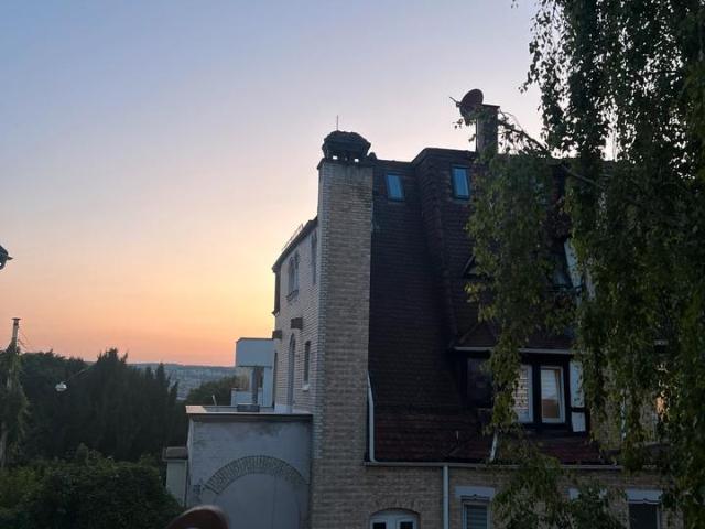 Wohnung mieten in Stuttgart-West, Stuttgart