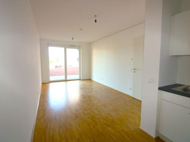 Apartment mieten in Liebenau, Gersdorf-Feistritz