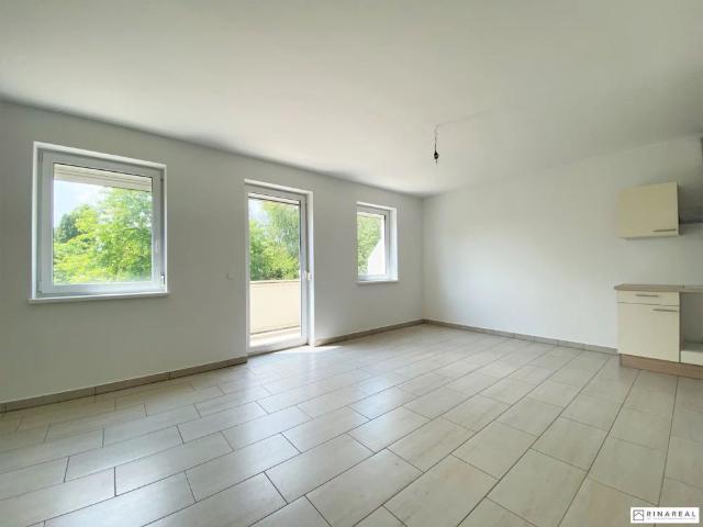 Apartment mieten in Katastralgemeinde Obereggendorf, Eggendorf