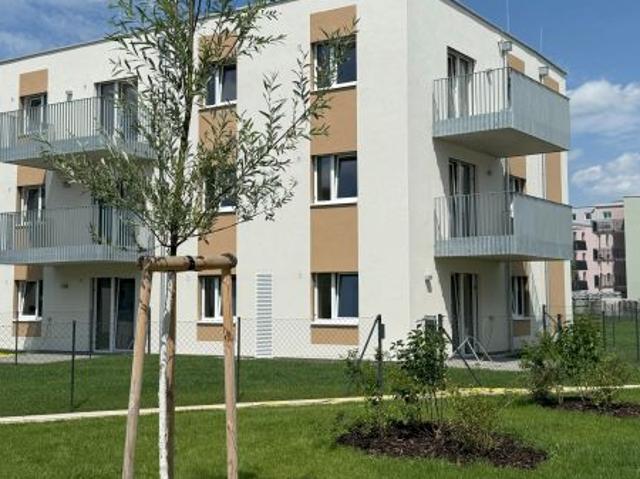 Wohnung mieten in Wiener Neustadt, Niederösterreich