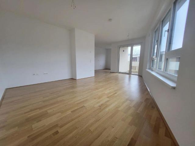 Apartment mieten in Wiener Neustadt, Niederösterreich