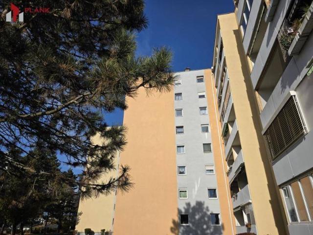 Apartment kaufen in Wetzelsdorf, Gersdorf-Feistritz