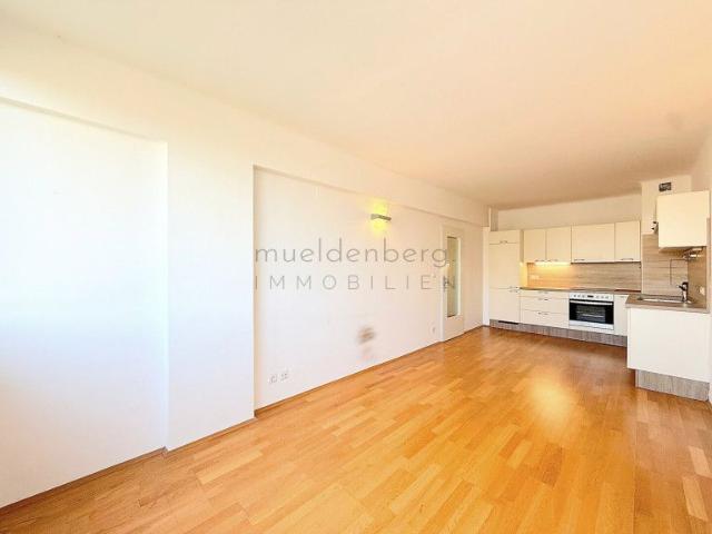 Apartment mieten in KG Innere Stadt, Wien