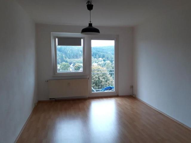Apartment mieten in Bad Elster, Sachsen