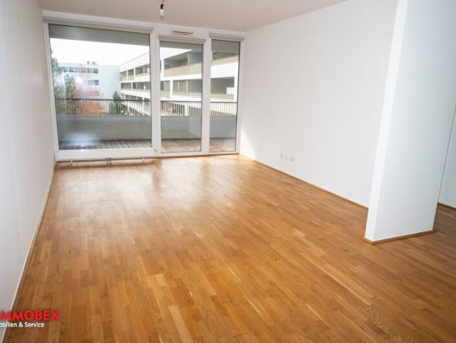 Terrassenwohnung mieten in Wels