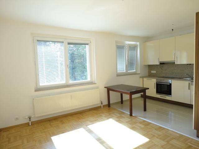 Apartment mieten in Katastralgemeinde Hinterbrühl, Hinterbrühl