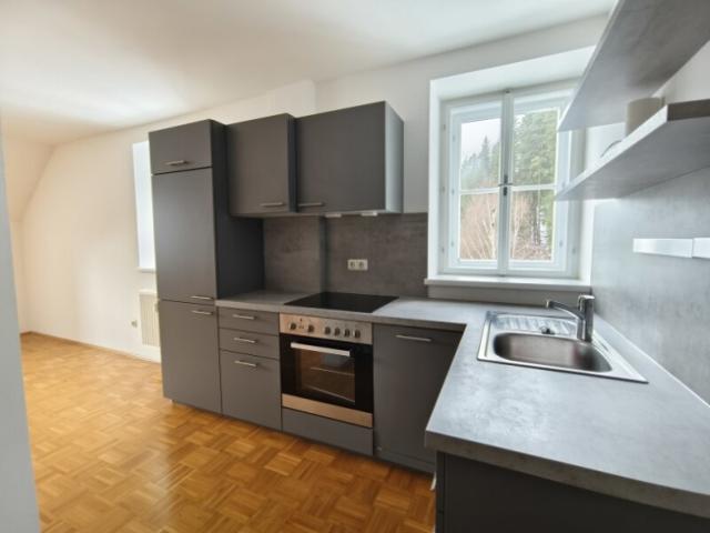 Wohnung mieten in Neuberg an der Mürz, Steiermark