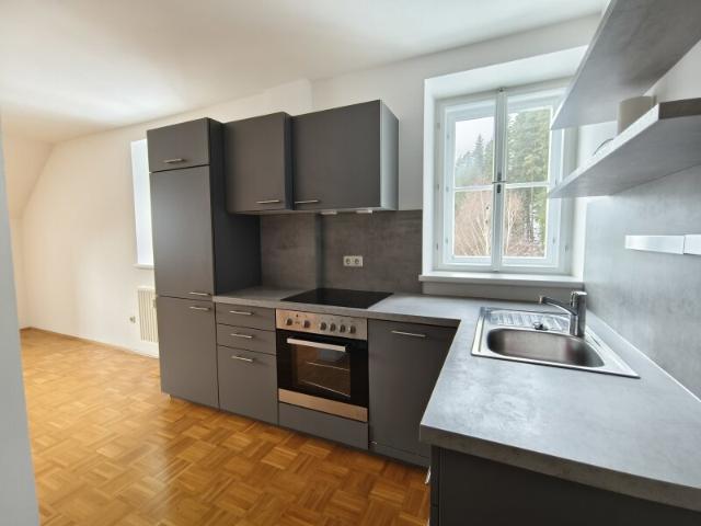 Wohnung mieten in Neuberg an der Mürz, Steiermark