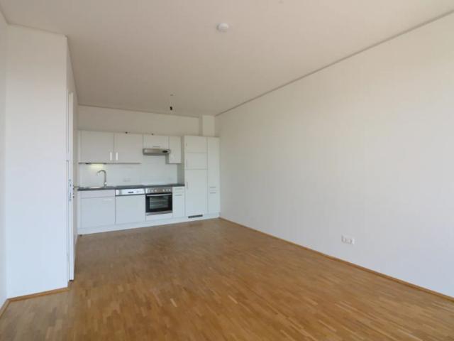 Apartment mieten in Liebenau, Gersdorf-Feistritz
