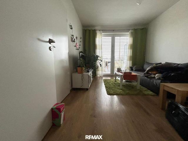 Wohnung kaufen in Gänserndorf, Niederösterreich