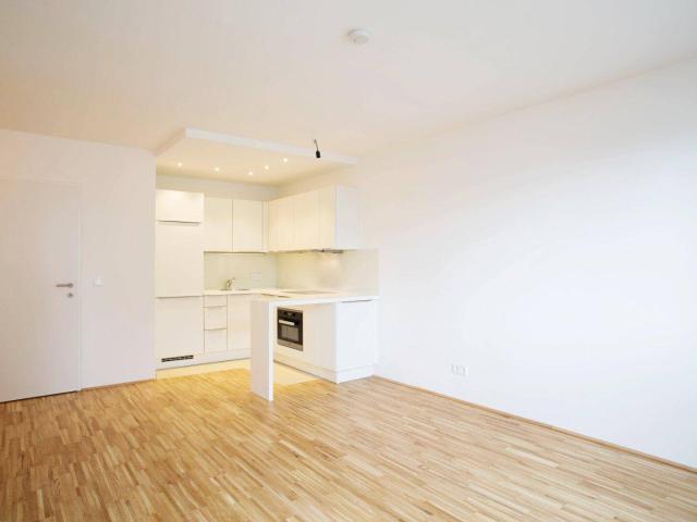 Apartment mieten in KG Brigittenau, Wien