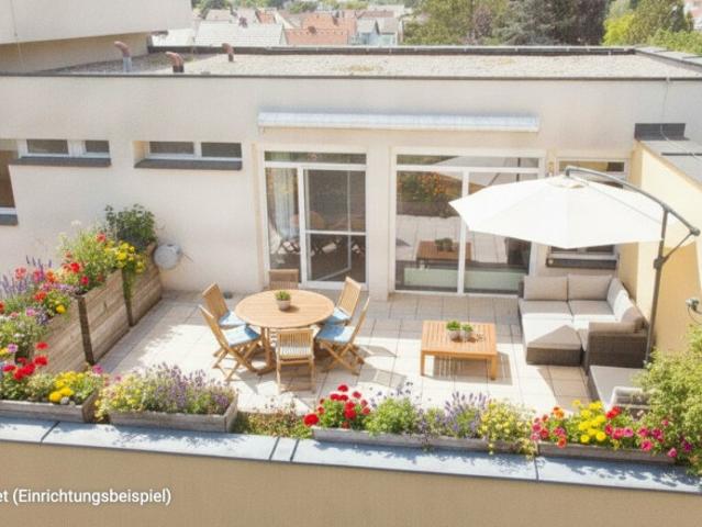 Wohnung kaufen in Spillern, Niederösterreich
