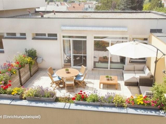 Wohnung kaufen in Spillern, Niederösterreich
