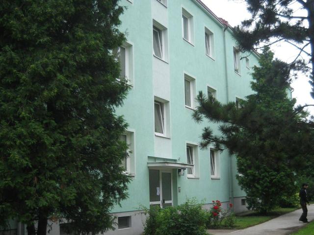 Apartment mieten in Wiener Neustadt, Niederösterreich