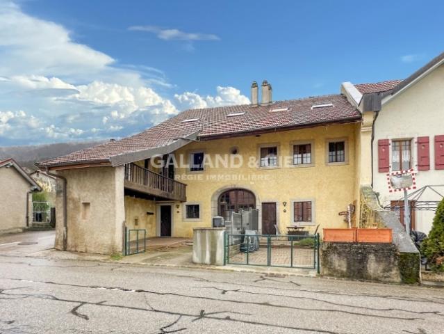 Einfamilienhaus kaufen in Berolle, Waadt
