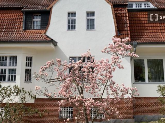 Apartment mieten in Wannsee, Berlin