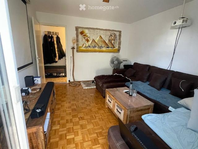 Apartment mieten in Oberengstringen, Bezirk Dietikon