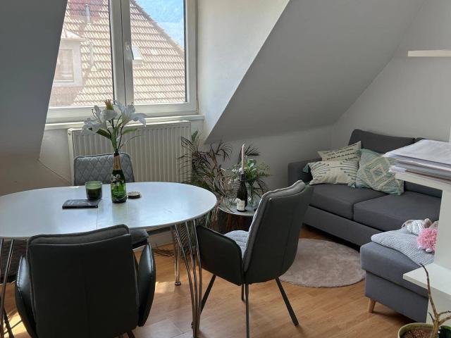 Apartment mieten in Salzburg, Gneis