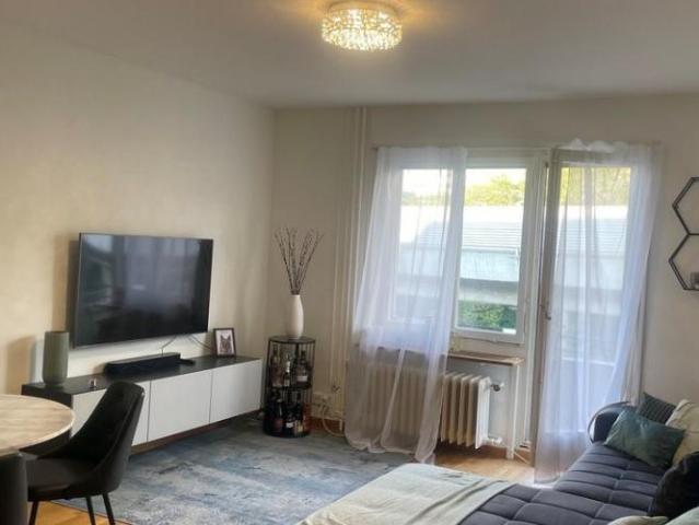 Apartment mieten in Alt-Wiedikon, Zürich