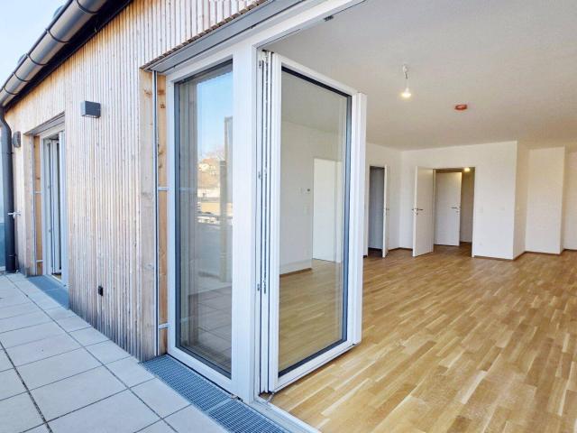 Apartment kaufen in Oberstockstall, Kirchberg am Wagram