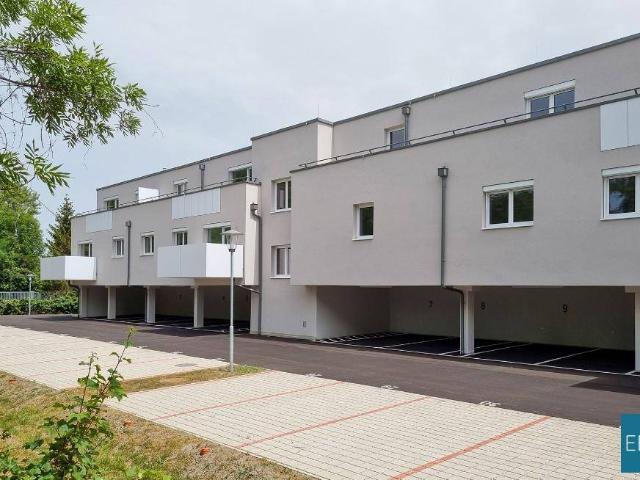 Apartment mieten in Günselsdorf, Niederösterreich