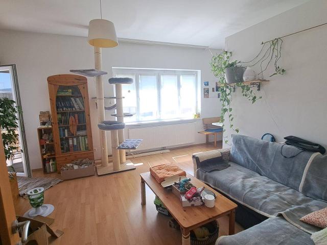 Apartment mieten in Ruprechtshofen, Niederösterreich