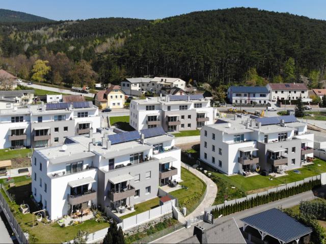 Apartment mieten in St. Johann am Steinfelde, Ternitz