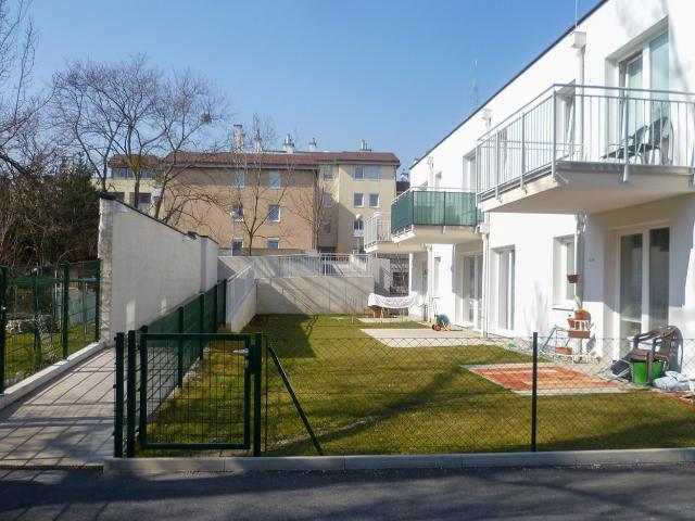 Apartment mieten in Günselsdorf, Niederösterreich