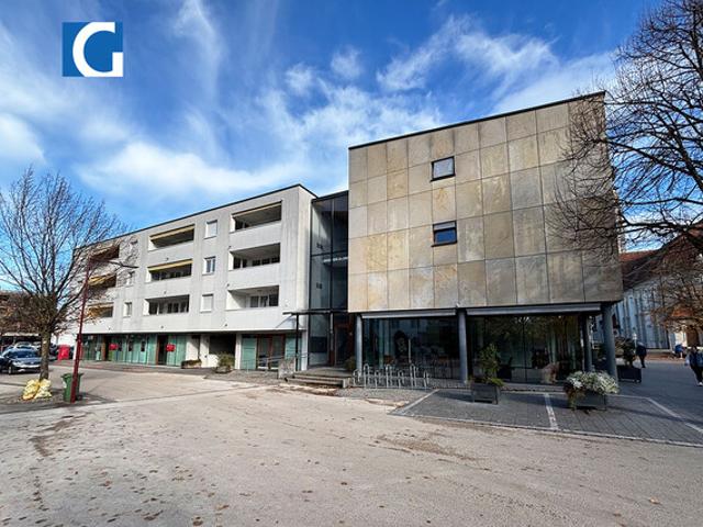 Apartment mieten in Höchst, Vorarlberg