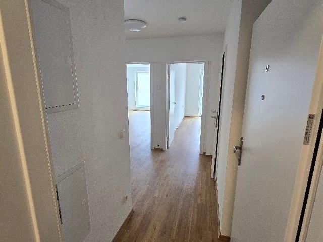 Apartment mieten in Stockerau, Niederösterreich