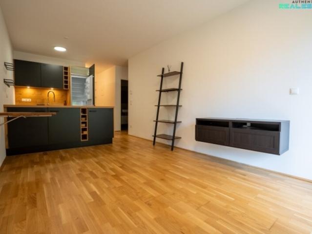 Wohnung mieten in Kottingbrunn, Niederösterreich