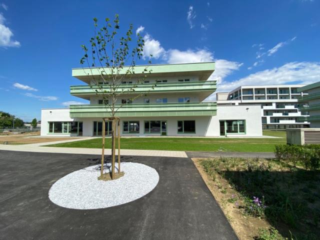 Wohnung kaufen in Gries, Gersdorf-Feistritz