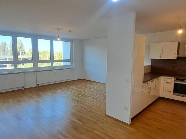 Apartment mieten in KG Innere Stadt, Wien
