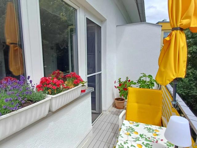 Apartment mieten in Baden, Niederösterreich