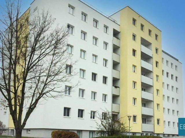 Apartment mieten in Wiener Neustadt