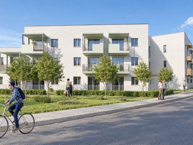 Apartment mieten in Rohrbach am Steinfelde, Ternitz