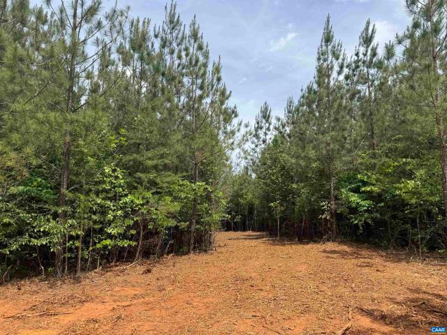 Land for sale in Virginia