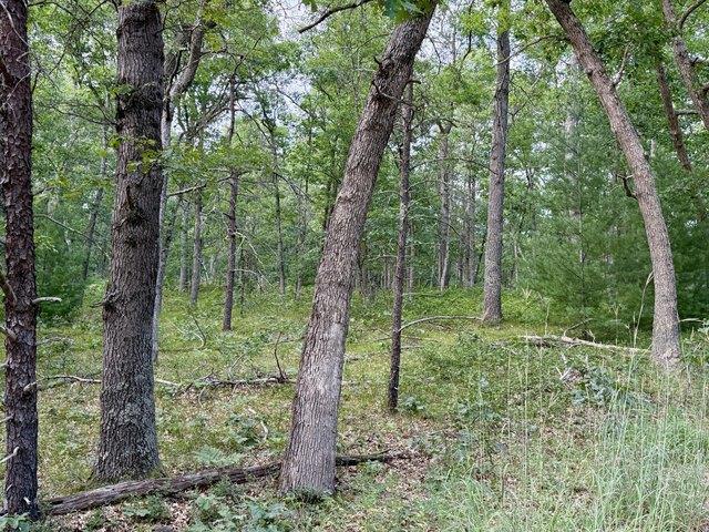 Land for sale in Manistee, Michigan