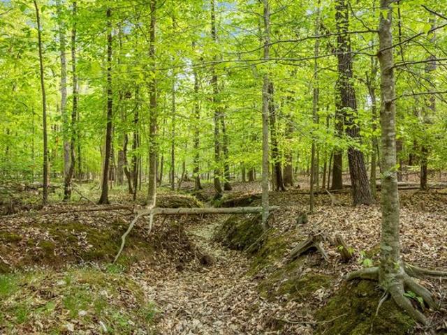 Land for sale in Chapel Hill, Orange County