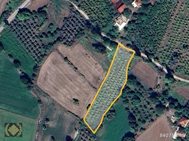 Muğla içerisinde satılık Arsa