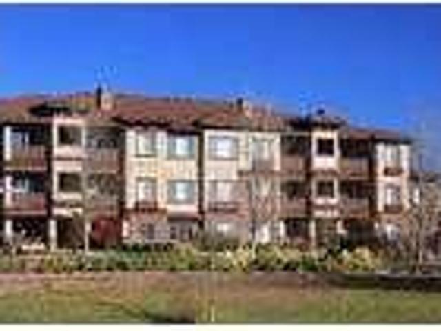 House for rent in Cedaredge