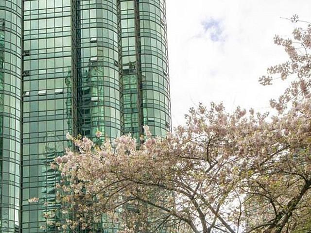 Apartment for rent in Vancouver, British Columbia