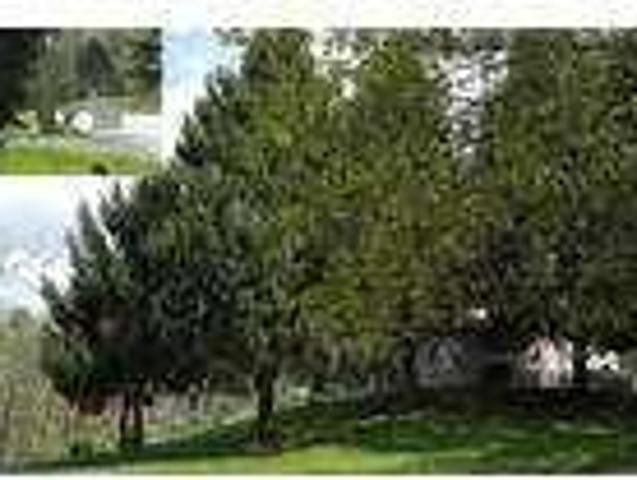House for rent in Laurelville, Ohio