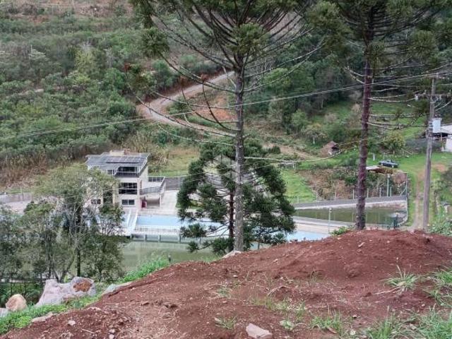 Sítio e chácara venda em Região Geográfica Imediata de Bento Gonçalves, Pinto Bandeira